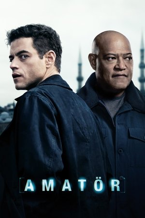 Amatör - The Amateur