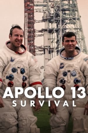 Apollo 13: Hayatta Kalma Mücadelesi - Apollo 13: Survival