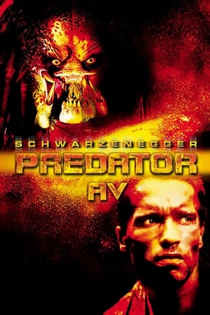 Av - Predator