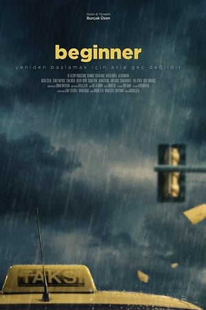 Beginner