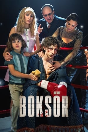 Boksör - Boxer