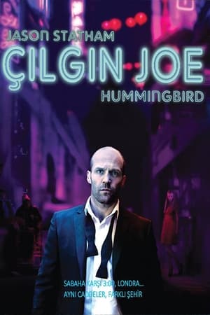 Çılgın Joe - Hummingbird