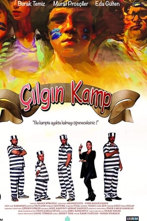 Çılgın Kamp