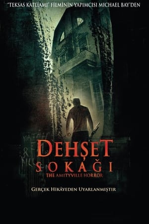 Dehşet Sokağı - The Amityville Horror