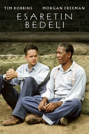 Esaretin Bedeli - The Shawshank Redemption