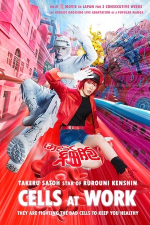 Hataraku saibou - Cells at Work!