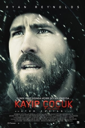 Kayıp Çocuk - The Captive