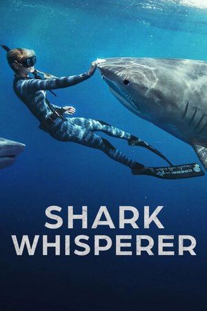 Köpek Balıklarına Fısıldayan Kadın - Shark Whisperer