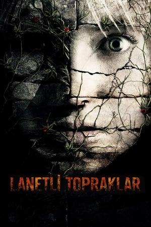 Lanetli Topraklar - The Ruins