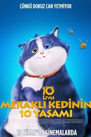 Meraklı Kedinin 10 Yaşamı - 10 Lives