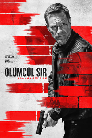 Ölümcül Sır - The Bricklayer