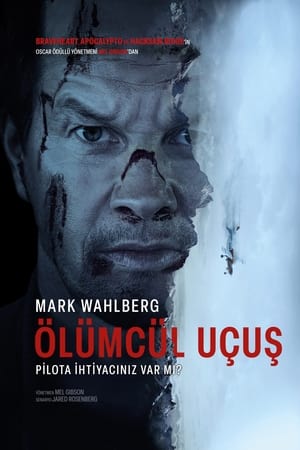 Ölümcül Uçuş - Flight Risk