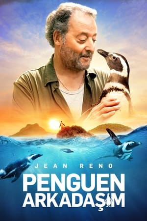 Penguen Arkadaşım - My Penguin Friend