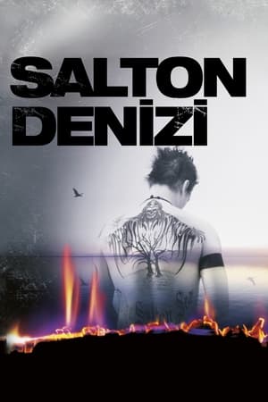 Salton Denizi - The Salton Sea