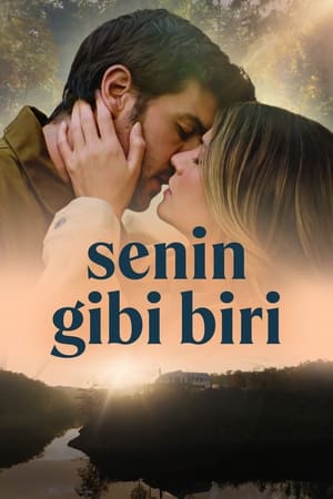 Senin Gibi Biri - Someone Like You