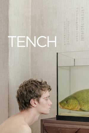 Tench - Muidhond