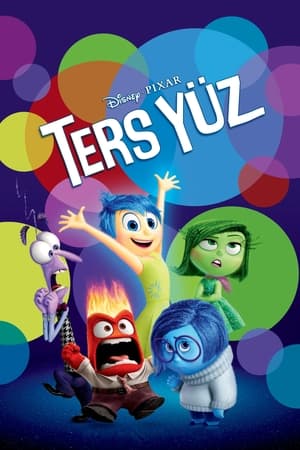 Ters Yüz - Inside Out