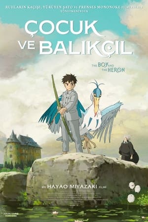 Çocuk ve Balıkçıl - The Boy And The Heron