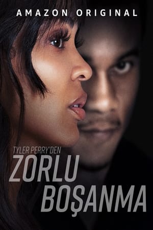 Tyler Perry'den Zorlu Boşanma - Tyler Perry's Divorce in the BlackTyler Perry's Divorce in the Black