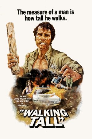 Tek Başına - Walking Tall